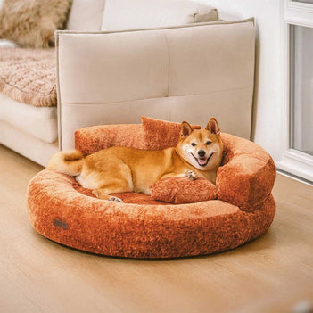 Shiba inu in an orange round bed