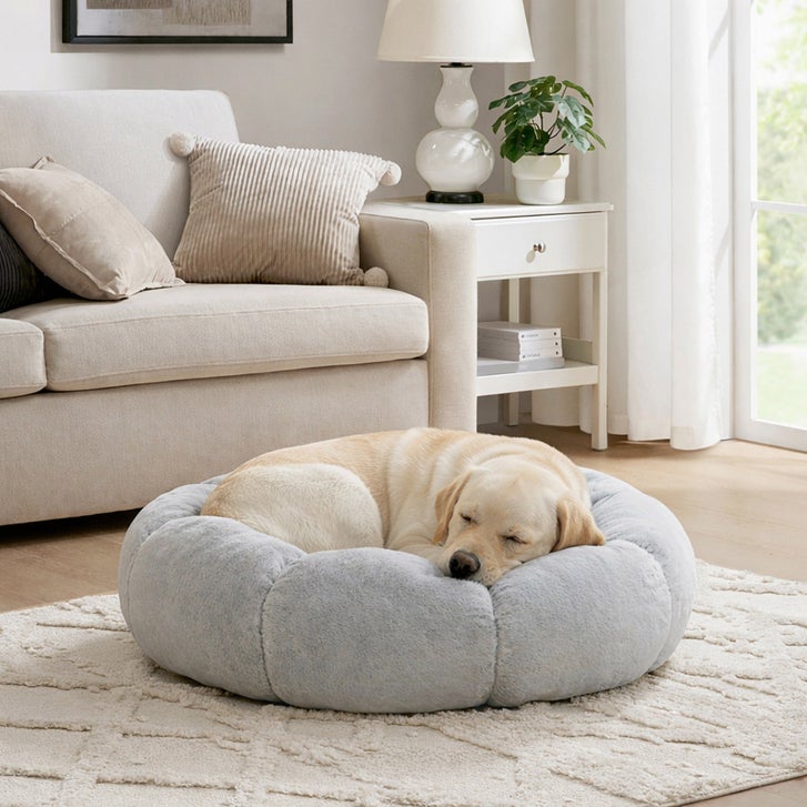 Orthopedic Memory Foam Bed